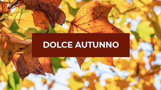 Autunno Marrone per decorazioni in pasta di zucchero